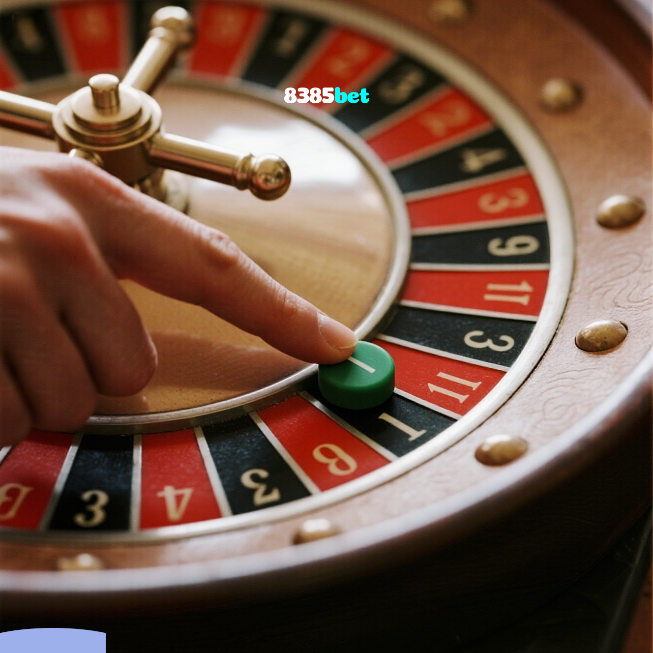 8385bet:Jogue nas roletas e veja grandes prêmios surgirem para você!